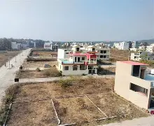 Plot