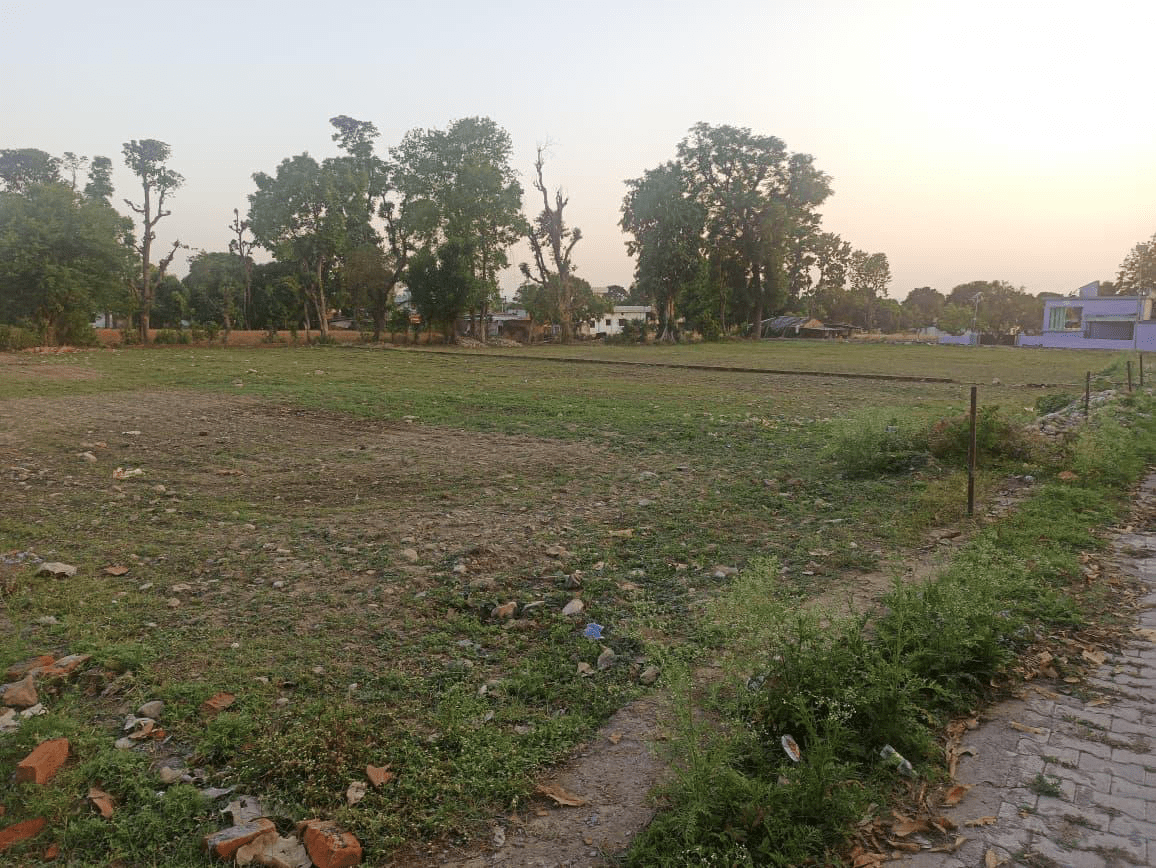 Before Image
